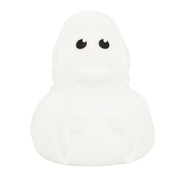 Ghost duck